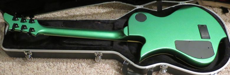 Guitar Blog: 2007 Fernandes Ravelle Custom 